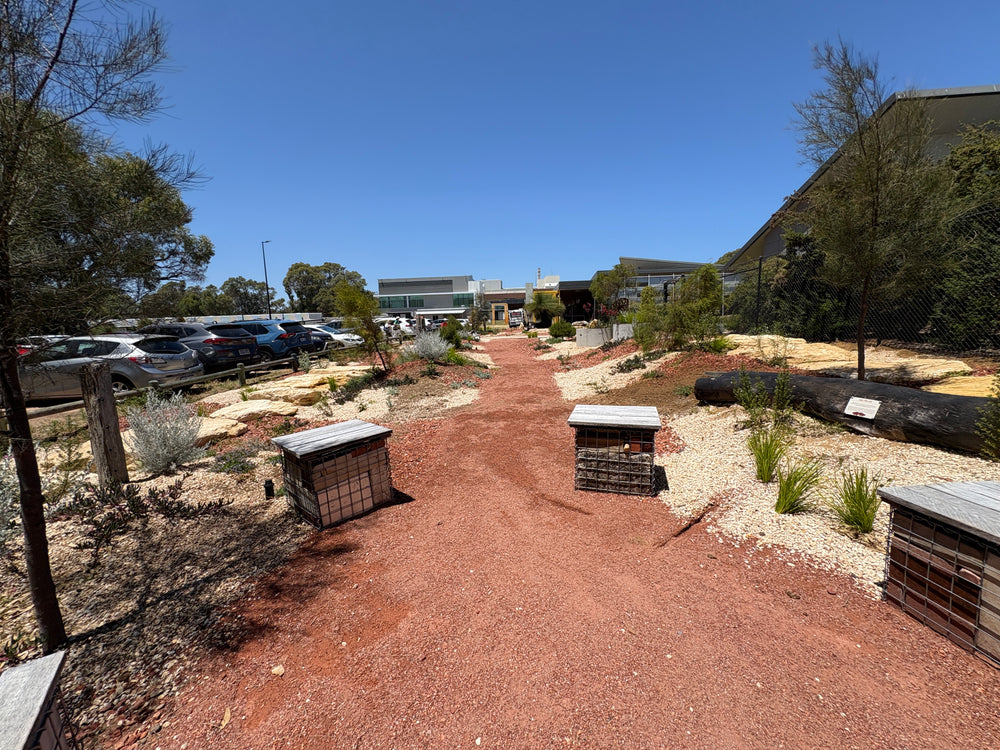 Benefits of Gabion Walls for Australian Gardens | RhinoWeld – Rhinoweld
